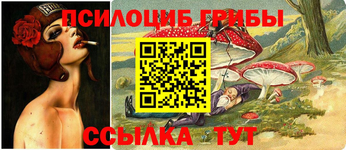 Псилоцибиновые грибы Psilocybine cubensis  Вход с VPN  Псилоцибиновые грибы GOLDEN TEACHER  Наро-Фоминск 